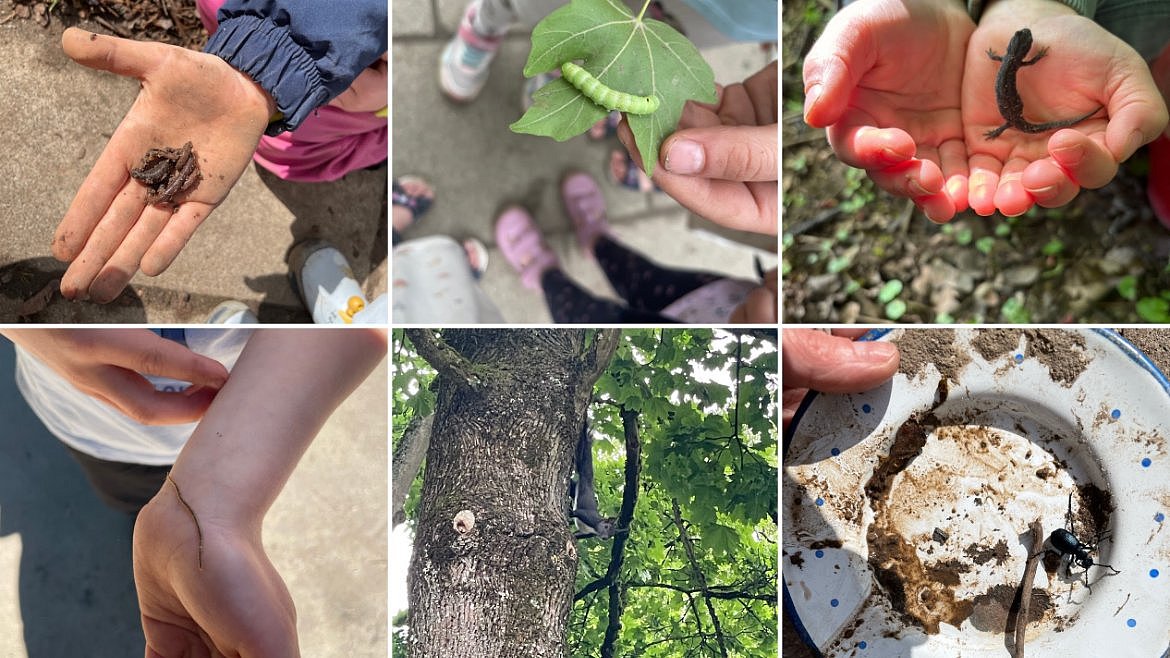 Ab April konnten die Kinder die unterschiedlichsten Tiere in unserem Garten entdecken.