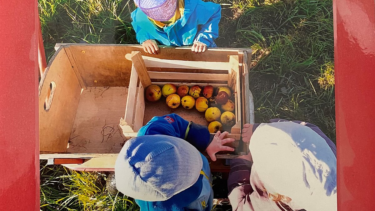 Beispiel aus unserer Projektdokumentation für die Teilnahme am "Markt der Möglichkeiten" der Nachhaltigkeitstage Bodnegg am 20.09.2024 - Äpfel auflesen