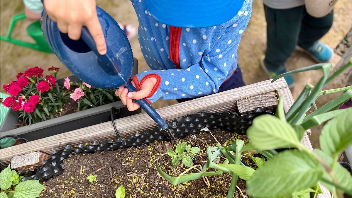 Pflege des Hochbeets Gemeinsame Verantwortung für Anbau, Pflege und Ernte im Hochbeet.