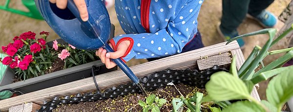 Pflege des Hochbeets Gemeinsame Verantwortung für Anbau, Pflege und Ernte im Hochbeet.