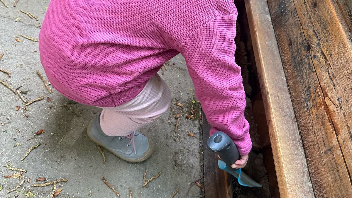 Die Samen werden mit Erde bedeckt.