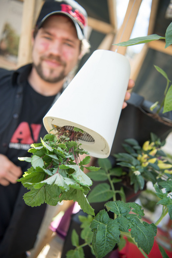 Nahaufnahme von vertikalem Gartensystem für Balkon, Terrasse oder Innenhof