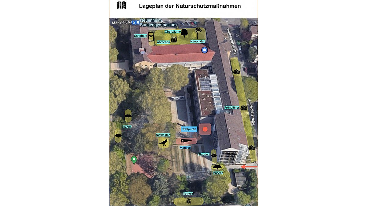 Naturschutz-Maßnahmen am Bunsen-Gymnasium im Rahmen der Curriculumstage
