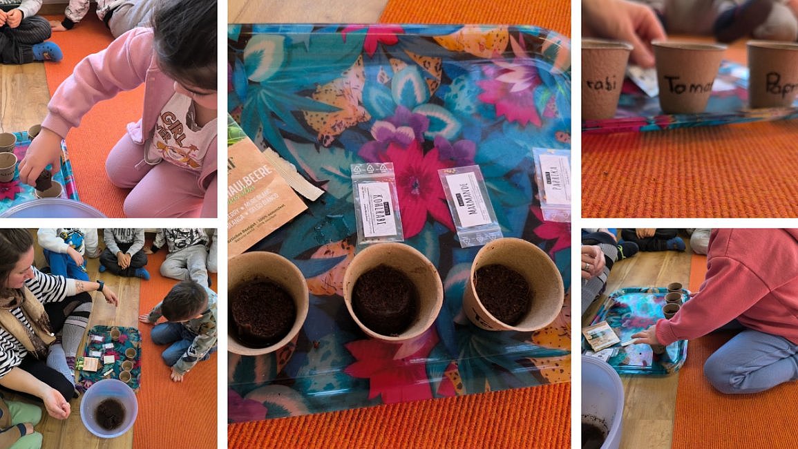 Im Februar startete die Anzucht. Die Kinder haben sich Gemüsesorten ausgesucht und diese gemeinsam zur Vorzucht eingepflanzt.