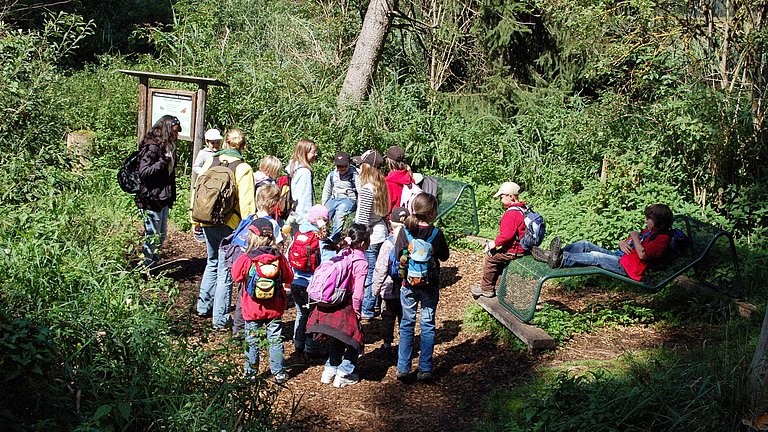 Eine Gruppe Kinder erleben mit Ihren Begleitpersonen den schwankenden Moorboden im Wackelwald am Federsee.