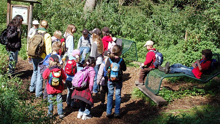 Eine Gruppe Kinder erleben mit Ihren Begleitpersonen den schwankenden Moorboden im Wackelwald am Federsee.
