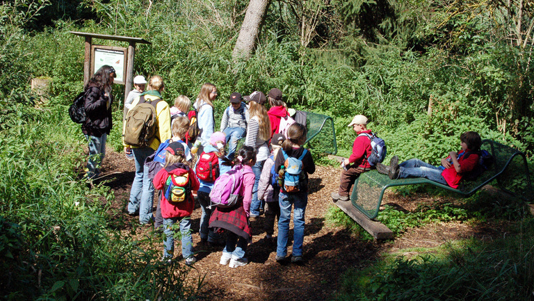 Kinder im Wackelwald am Federsee Eine Gruppe Kinder erleben mit Ihren Begleitpersonen den schwankenden Moorboden im Wackelwald am Federsee.