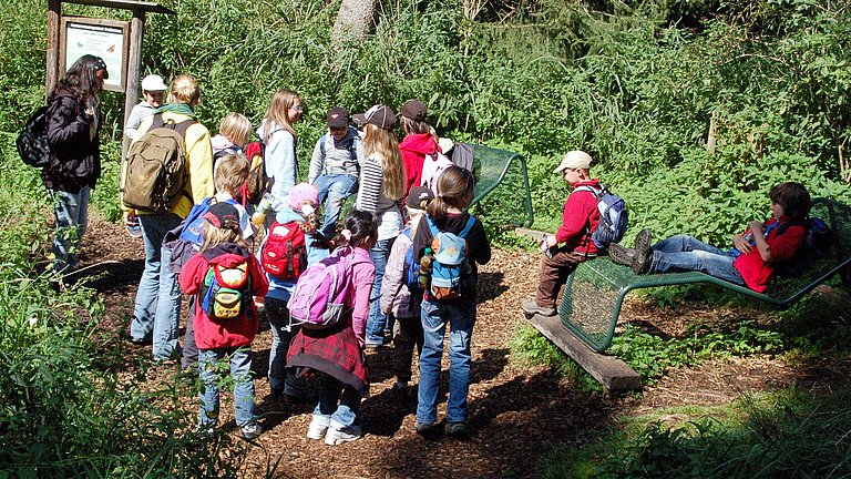 Eine Gruppe Kinder erleben mit Ihren Begleitpersonen den schwankenden Moorboden im Wackelwald am Federsee.
