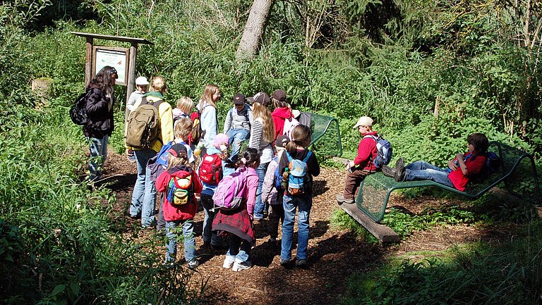 Eine Gruppe Kinder erleben mit Ihren Begleitpersonen den schwankenden Moorboden im Wackelwald am Federsee.