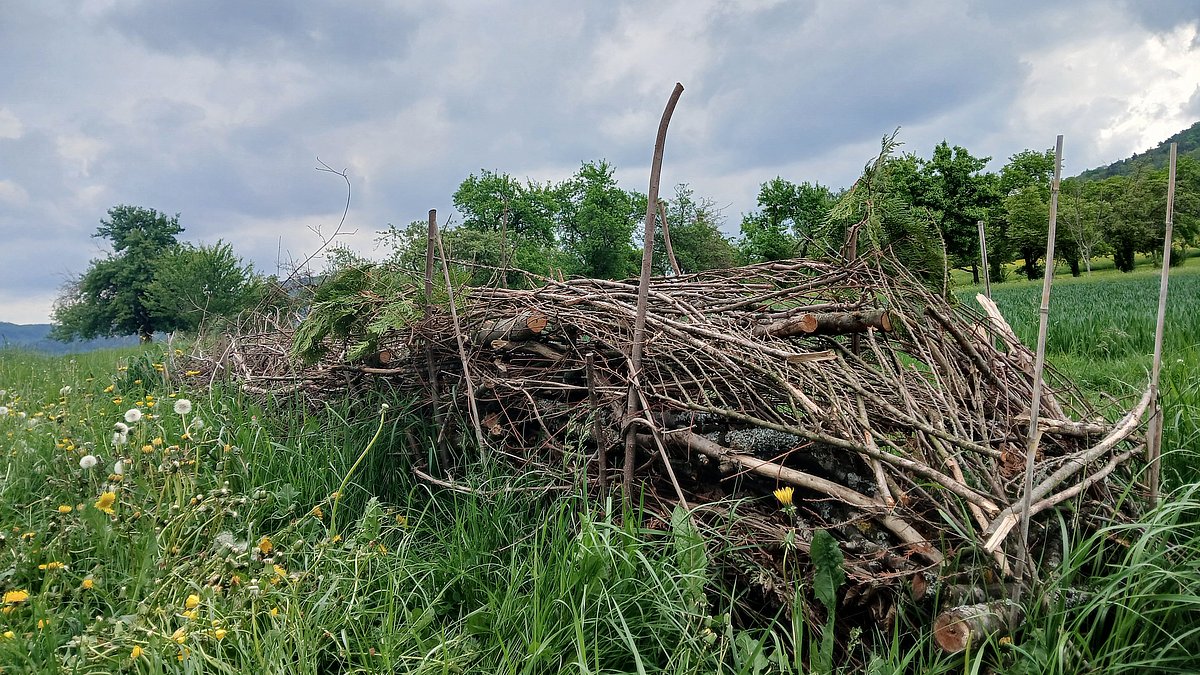 Unsere Benjeshecke, die im Rahmen eines Arbeitseinsatzes durch Eltern errichtet wurde