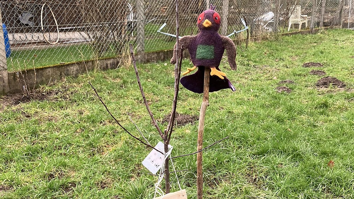 Urli das Maskottchen des Naturparkes besucht unseren Apfelbaum "Apfelina 2" der im Herbst 24 gepflanzt wurde.