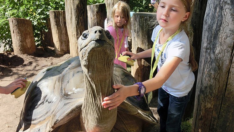 Ein Mädchen streichelt eine Riesenschildkröte.