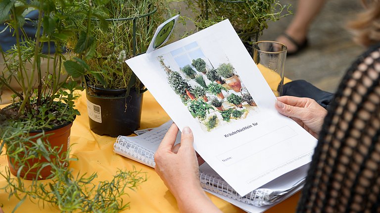 Nahaufnahme eines Kräuterbüchlein aus dem Workshop das kleine Kräuter ABC