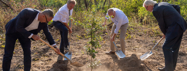 Vertreter der AOK, Forst BW und Minister Untersteller pflanzen die ersten Bäume im AOK-Wald.