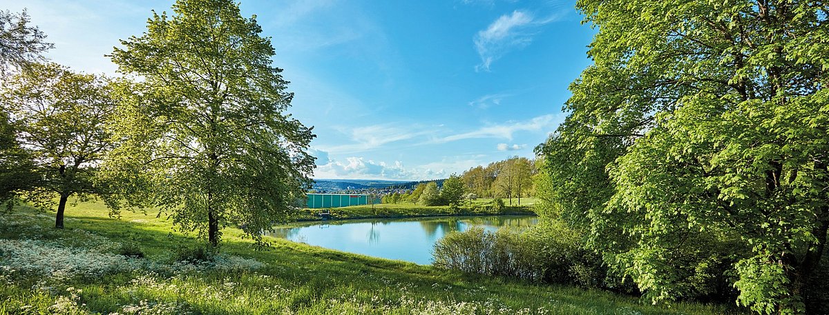 Foto eines Sees (Tumlinger See) mit Wiese und Bäumen im Vordergrund, im Hintergrund ist das fischer Distribution Center Tumlingen (DCT) zu sehen.