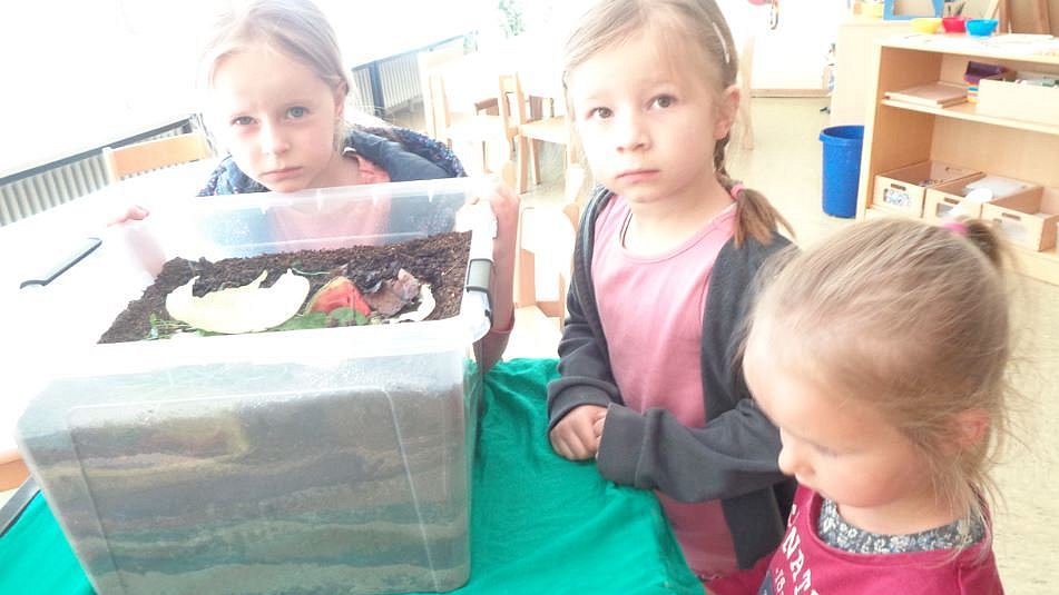 Die Kinder beobachten, wie sich die Würmer Löcher graben.