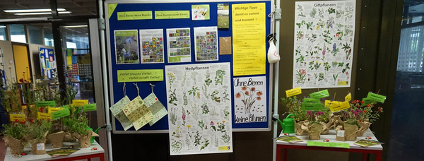 Informationsstand zum Thema Heilpflanzen in der Laura-Schradin-Schule.