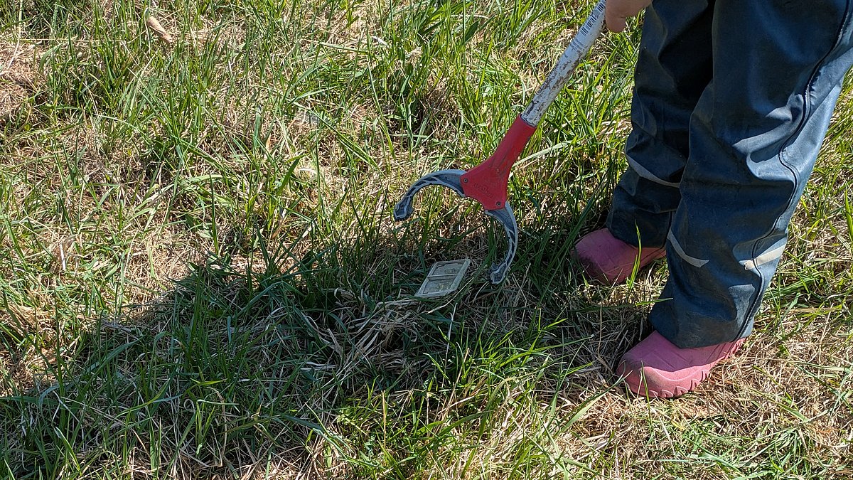 Müllsammeln in Holzgerlingen.