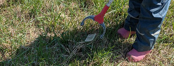 Müllsammeln in Holzgerlingen.