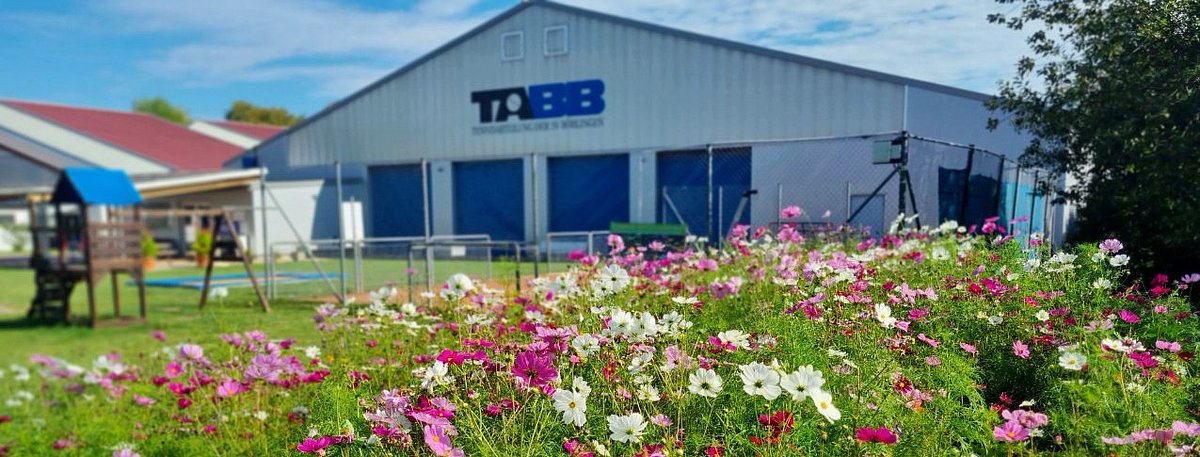 Blumenwiese vor der Halle der Tennisabteilung SV Böblingen
