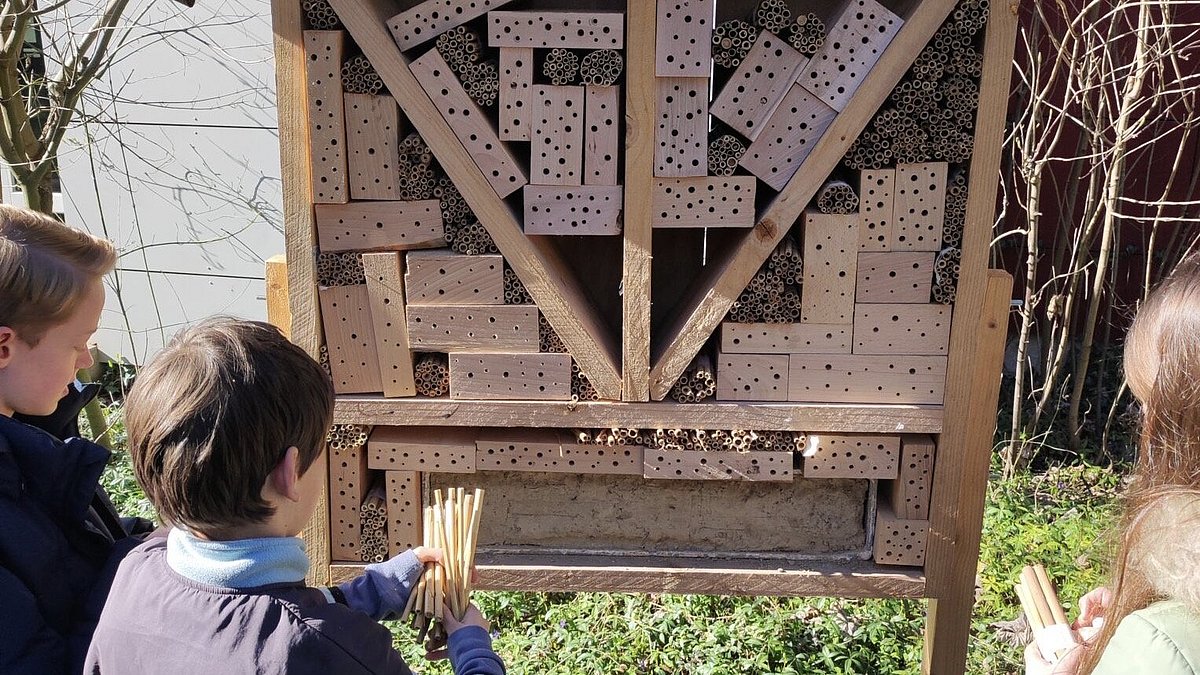Selbst gebaute Wildbienenwand am Thadden-Gymnasium