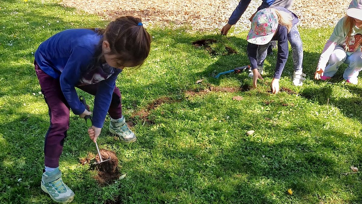 Entfernung der Grasnarbe für Blühfläche und Tipi in Gruppen.