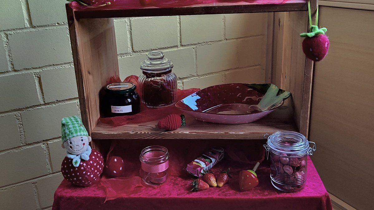 Die Kinder haben ein kleines Erdbeermuseum gebaut und eingerichtet.