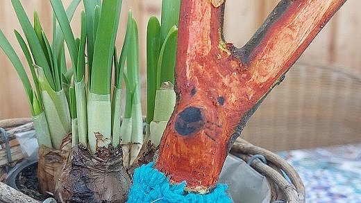 Kreatives Gestalten mit Apfelstöcken vom Apfelschnitt.