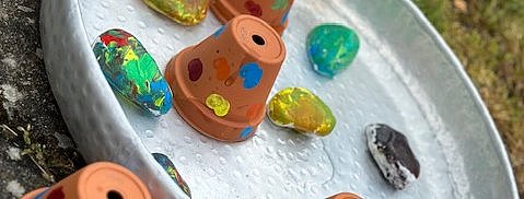 Rastplatz der Insekten.