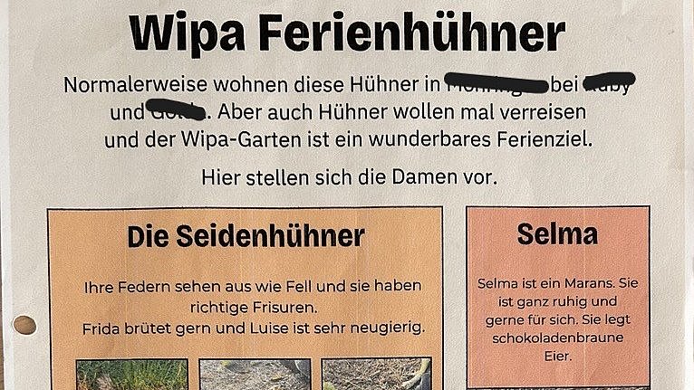 Eine kurze Vorstellung einiger Hühner aus der Urlaubshühnerbande.
