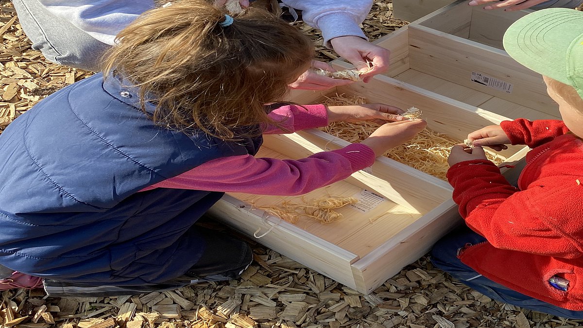 Hier füllen die Kinder das Insektenhotel mit Holzwolle.