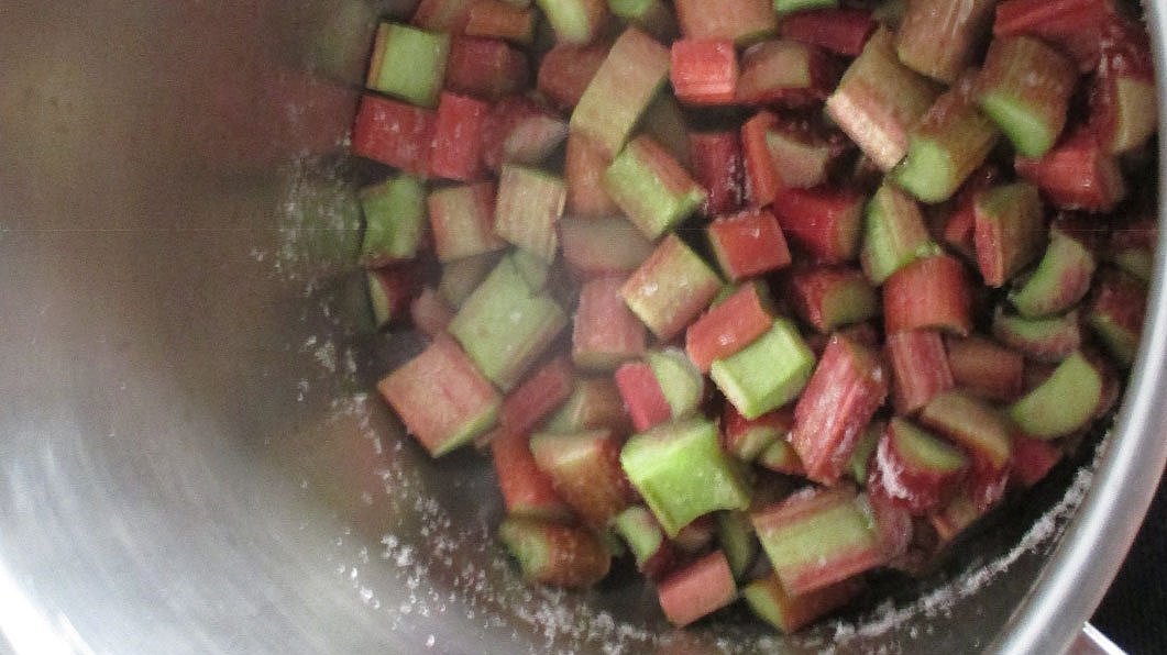 Nach der aufregenden ersten Rhabarberernte haben wir uns direkt an die Arbeit gemacht – und das Ergebnis kann sich sehen (und schmecken!) lassen: Die Kinder haben mit großer Begeisterung geholfen, ein köstliches Rhabarberkompott zuzubereiten! Gemeinsam wurde der geerntete Rhabarber gewaschen, geschnitten und anschließend unter Rühren zu einem duftenden Kompott verarbeitet. Es war wunderbar zu beobachten, wie stolz die Kinder waren, ihr selbst angebautes Gemüse direkt zu einem leckeren Gericht zu verarbeiten. Ein gelungener Abschluss unseres Rhabarber-Abenteuers und der beste Beweis dafür, wie lecker das eigene Gärtnern sein kann!