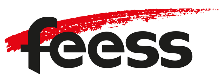 Logo mit dem Schriftzug „feess“ auf weißem Grund mit einem roten pinselstrichartigen Streifen im Hintergrund.
