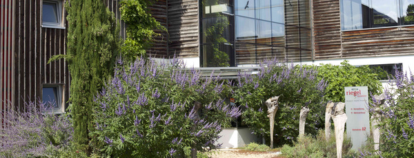 Haupteingang des Unternehmens Riegel Bioweine mit Holzfassade und großen Glasfenstern sowie Blumen und Sträuchern davor.