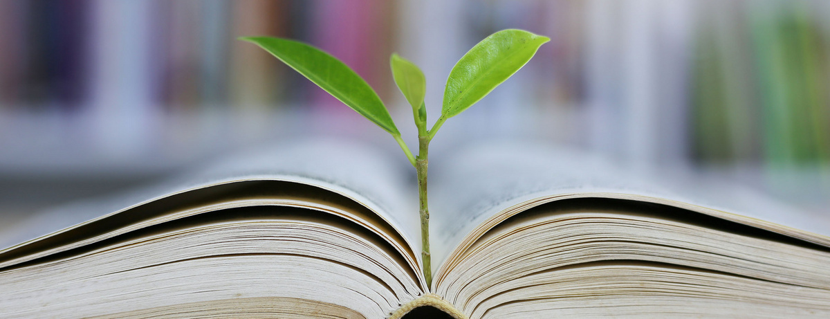 Ein aufgeschlagenes Buch und ein Sprössling, der in der Mitte des Buches in die Höhe wächst.