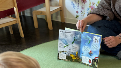 Einstieg mit einem Bilderbuch.