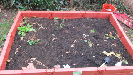 In Kooperation mit der EDEKA Stiftung haben wir ein "Hochbeet für Kids" angelegt und pflanzen dort Gemüse an.