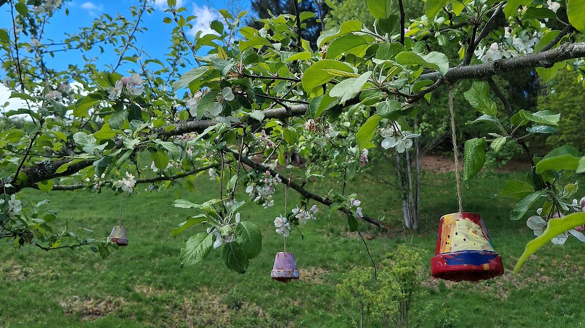 Die Mini-Insektenhotels hängen unter anderem an Bäumen im Garten.