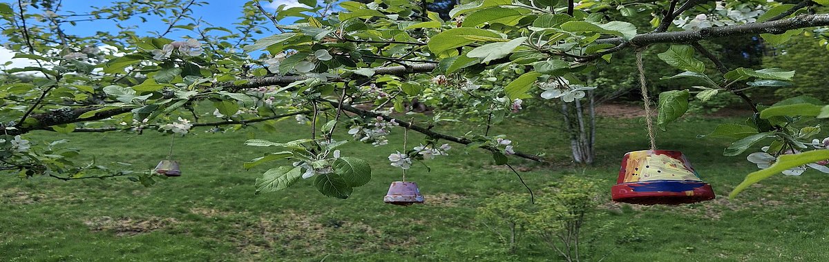 Die Mini-Insektenhotels hängen unter anderem an Bäumen im Garten.