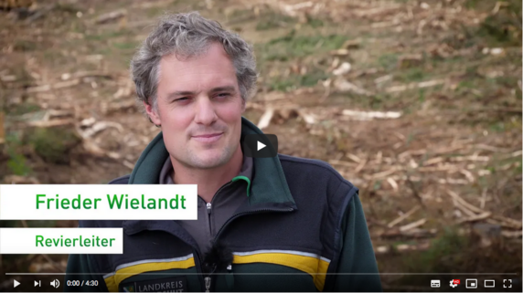 Zum Video wechseln über das Thema Klimawandel: Folgen für den Wald in Baden-Württemberg.