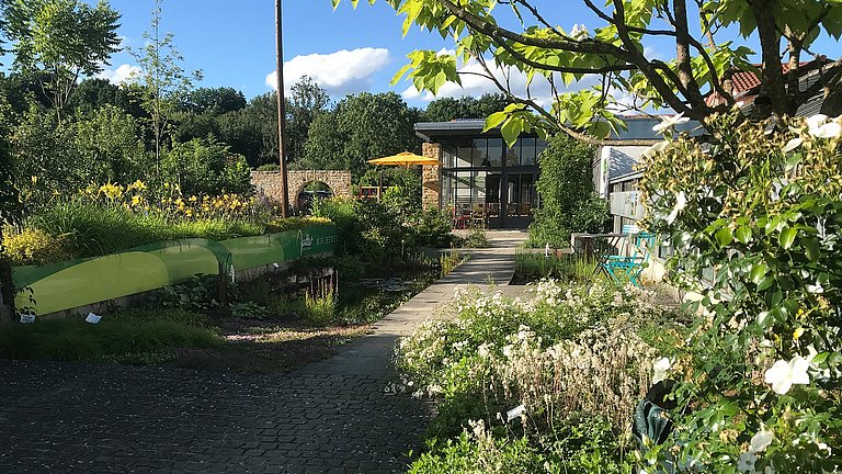 Ausschnitt eines Gartens mit Bäumen und Pflanzen, im Hintergrund ein Stück eines Hauses.