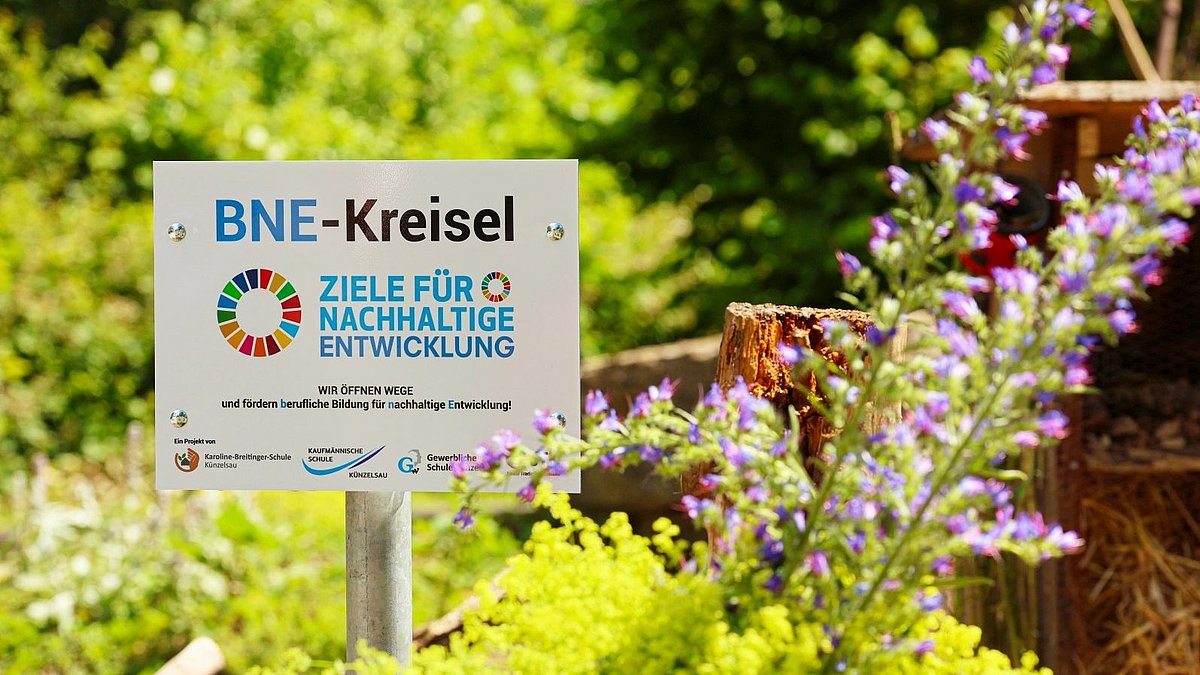 BNE-Kreisel in voller Blüte