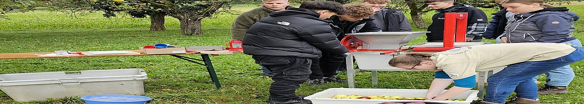 Beim „Apfelsaftpressen“ mit vielen Eimern mit Äpfeln.