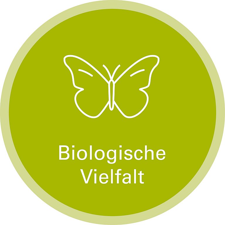 Icon zu Handlungsfeld: Biologische Vielfalt. Die Grafik zeigt die Stichzeichnung eines Schmetterlings.