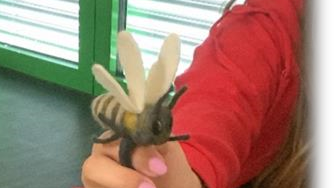 Susi unsere Erzählbiene.