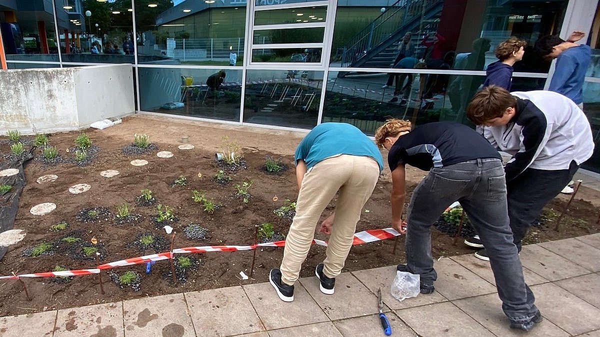 Bepflanzen einer „Eh schon da“-Fläche mit trockenheitsresistenten, heimischen Pflanzen