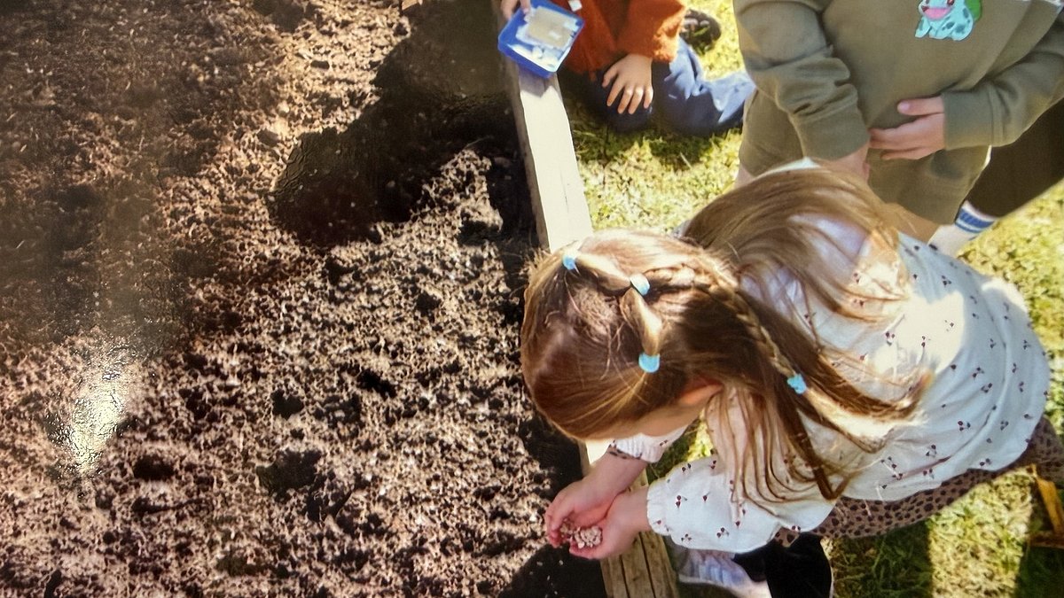Samen für das Blumenbeet säen