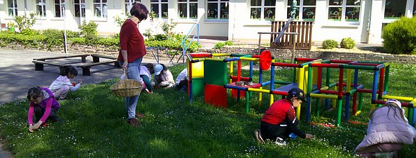 Das Kräuter sammeln im Garten der Kita für das Kräuterprojekt zur Zubereitung des Kräuterquarks.