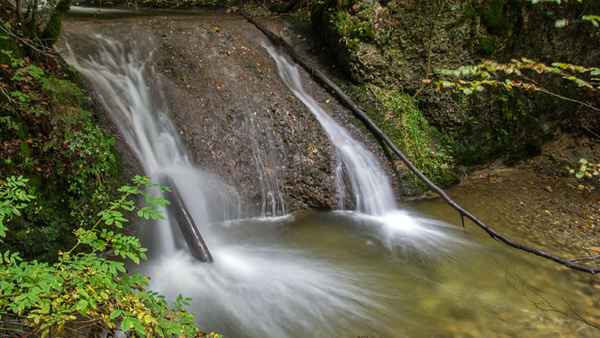 Über einen großen Stein fällt ein kleiner Wasserfall in einem Bachlauf. Eingebettet ist der Bach von grünem Unterholz. Im Bach liegen Äste.