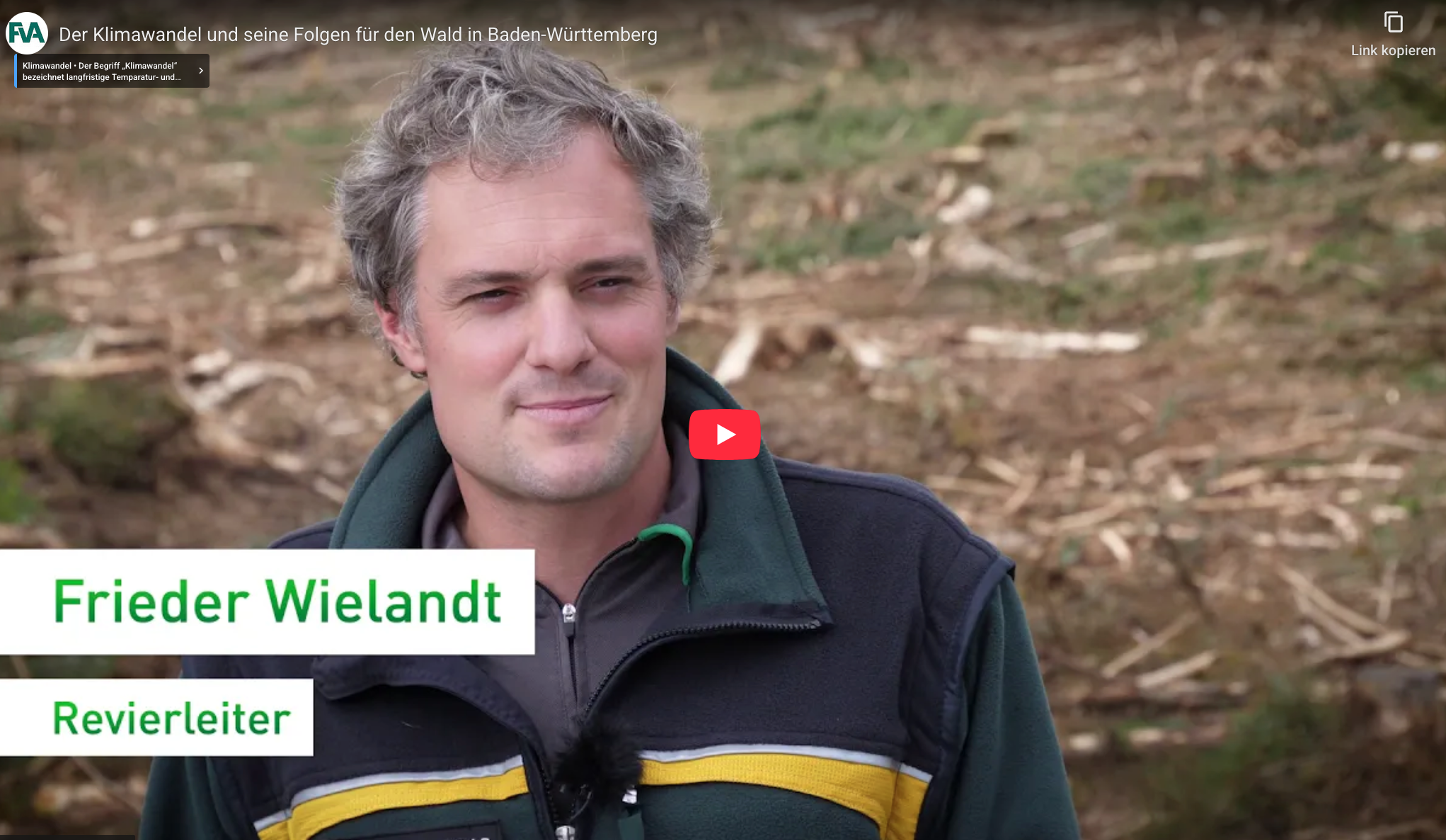 Zum Video wechseln über das Thema Klimawandel: Folgen für den Wald in Baden-Württemberg.